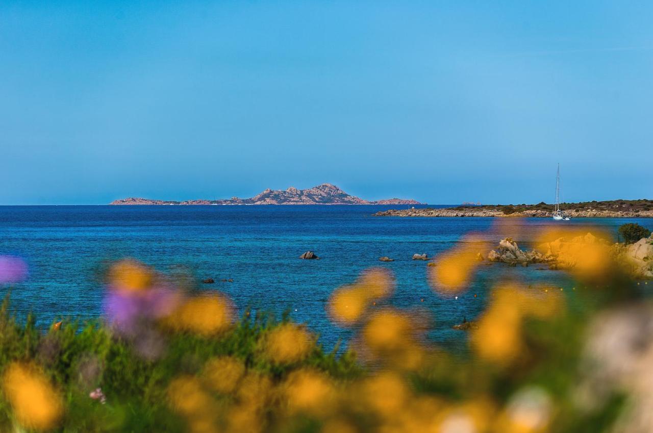 Appartamenti Marineledda Golfo Di Marinella Golfo Aranci Dış mekan fotoğraf